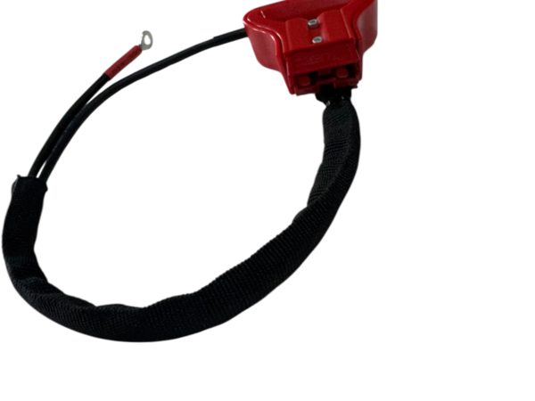 Photoroom_20250811_141455