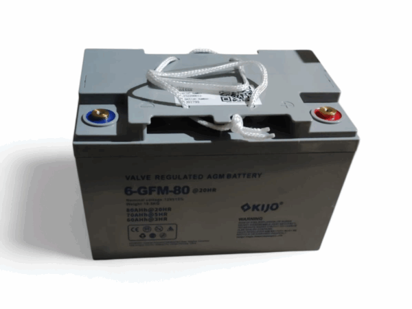 bateria żelowa do wózków elektrycznych